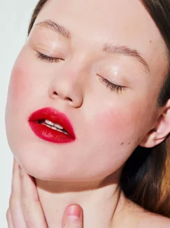 The Lip Oilnew|Rouje The Lip Oilnew Le Rouge