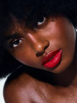 The Lip Oilnew|Rouje The Lip Oilnew Le Rouge